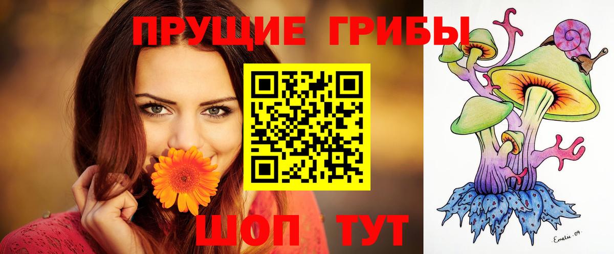 Псилоцибиновые грибы Cubensis Александров