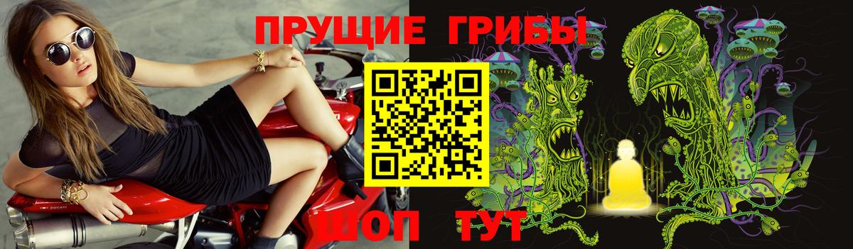Александров  Псилоцибиновые грибы GOLDEN TEACHER  Вход с VPN 